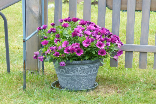 1751601 (a): :2560x1707